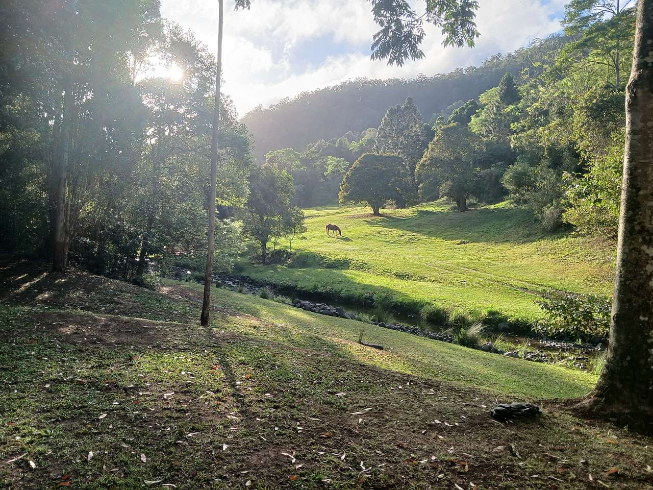 Lacrana by the Creek