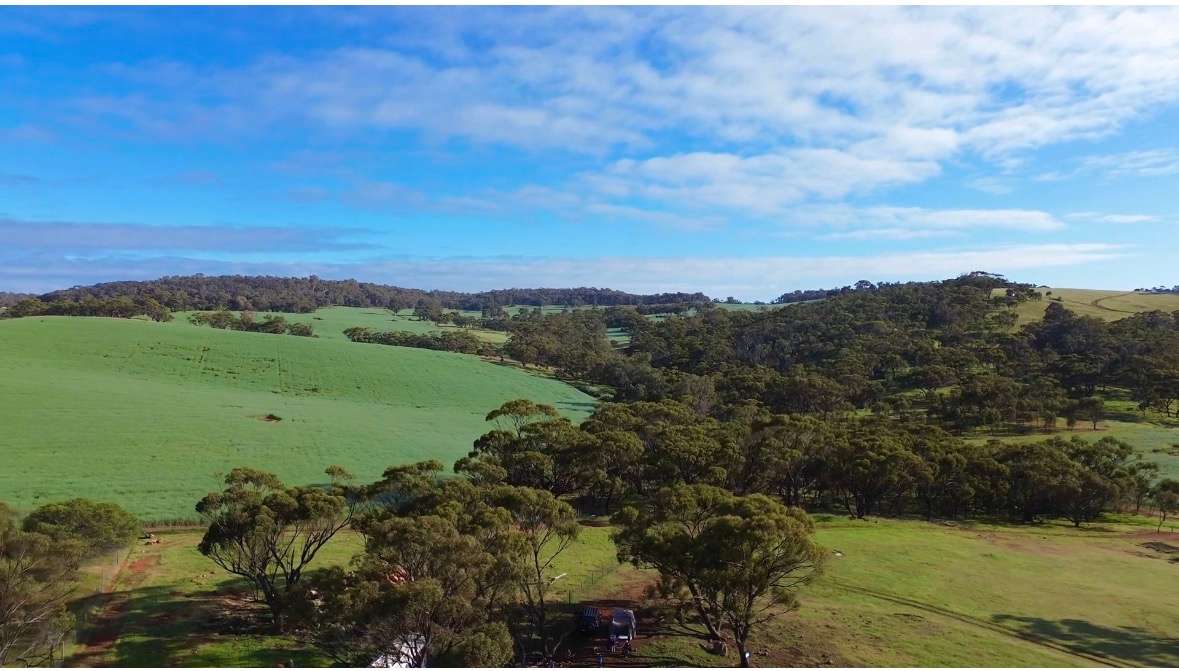 Aerial Shot