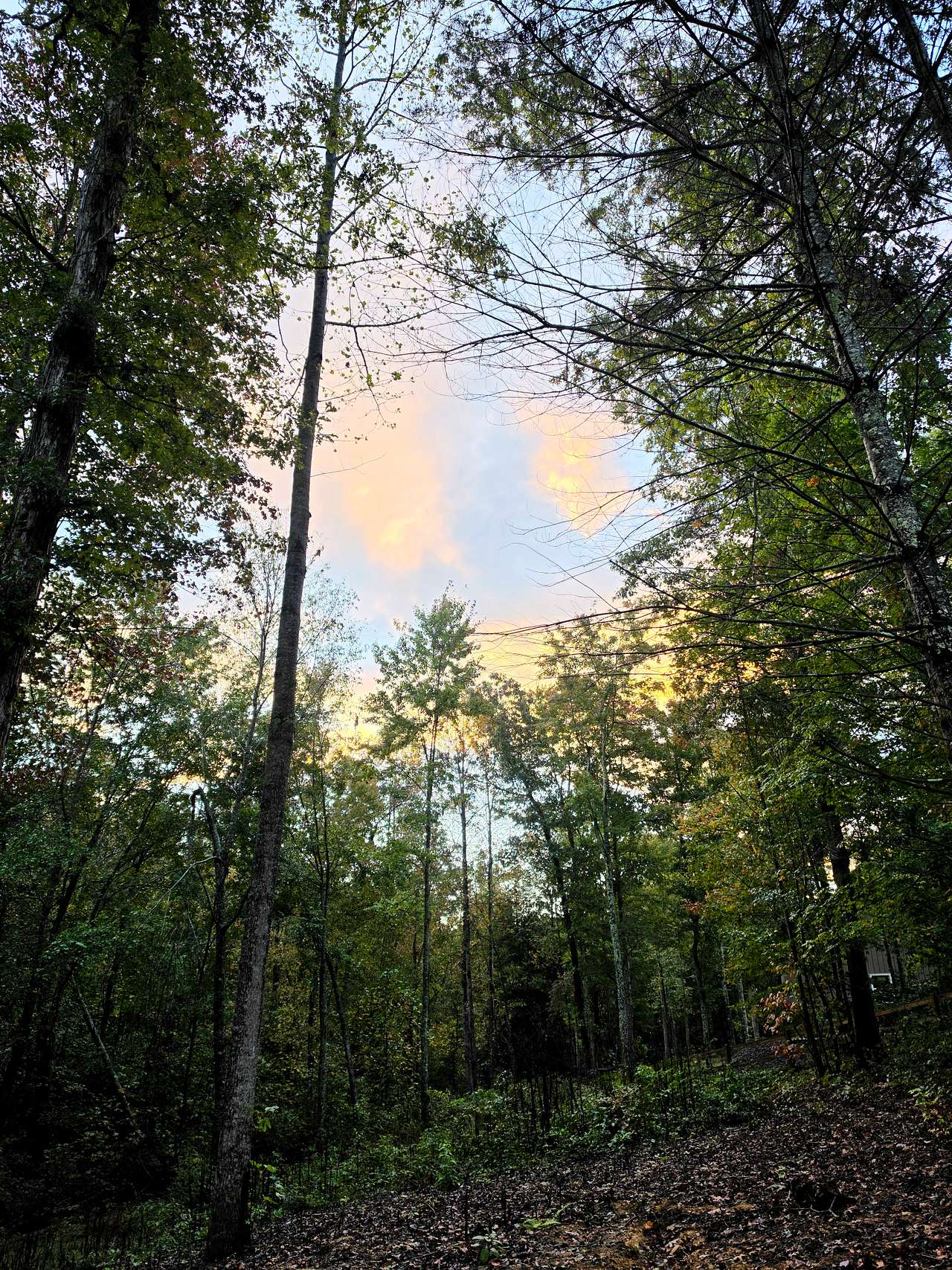 Fireside Trail LLC