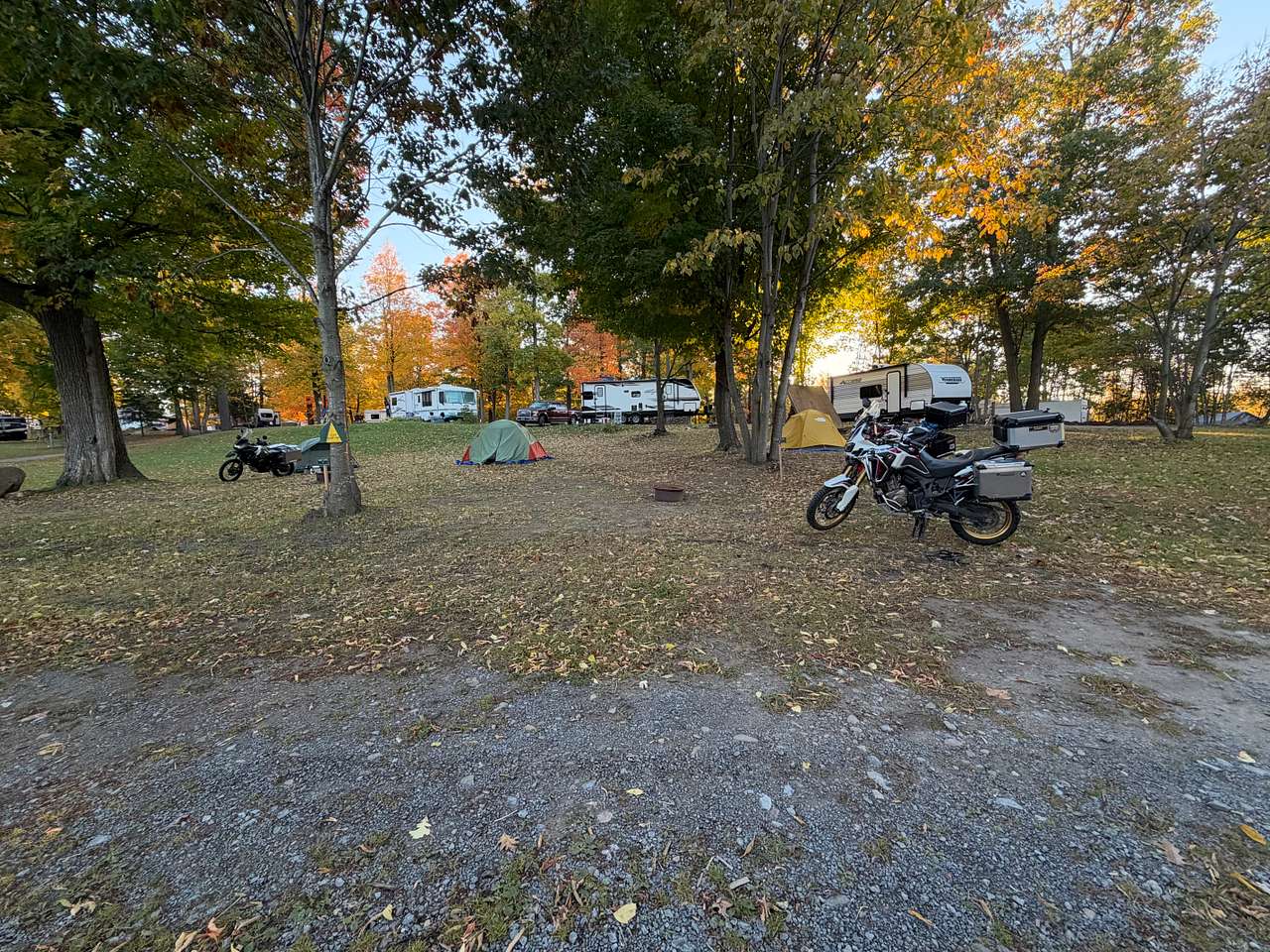 Picture of the site