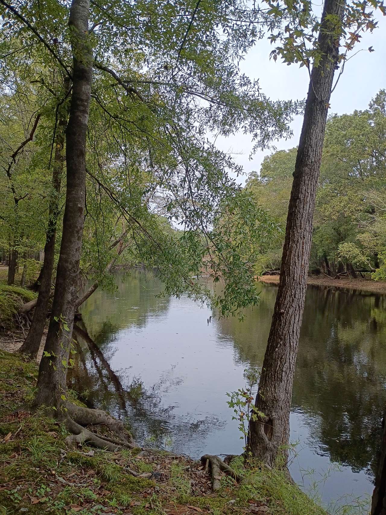 Black River Camping Ventures