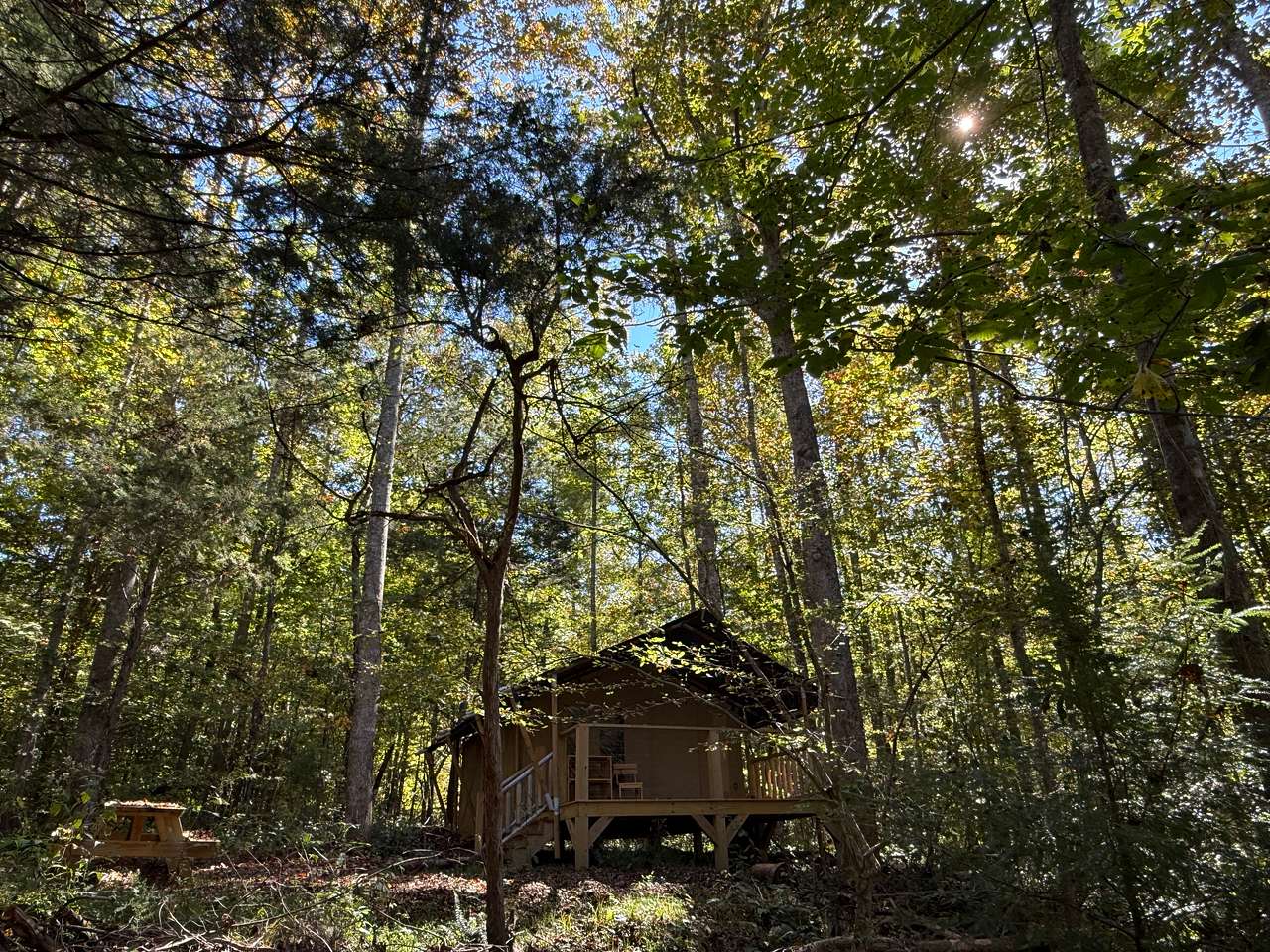 Picture of the site
