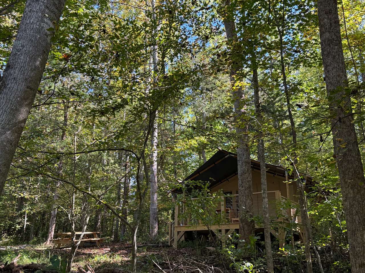 Picture of the site