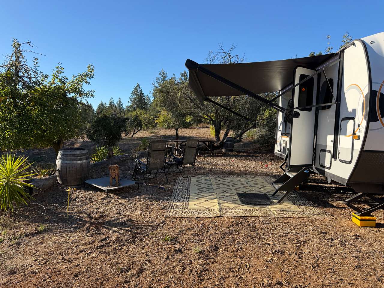 Site 3 very nice
