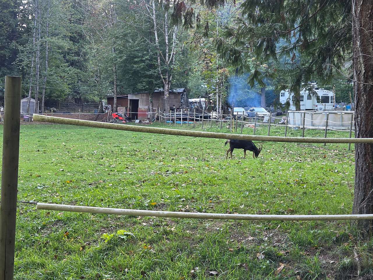Lakewood Cabins