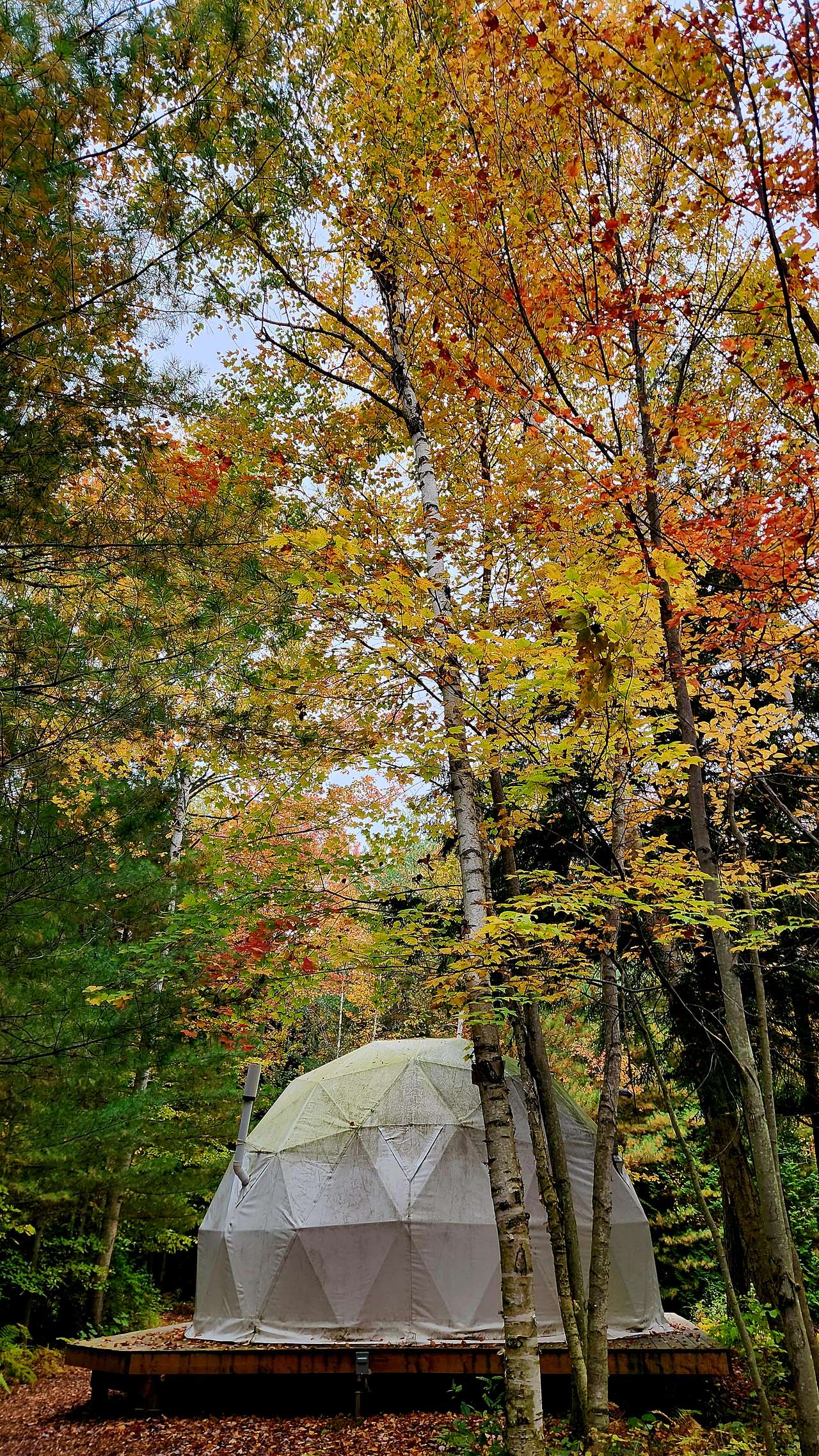 Fall is a great time to visit the county and stay to enjoy the outdoors. The weather is perfect, the colours are brilliant, and there are no bugs!!
