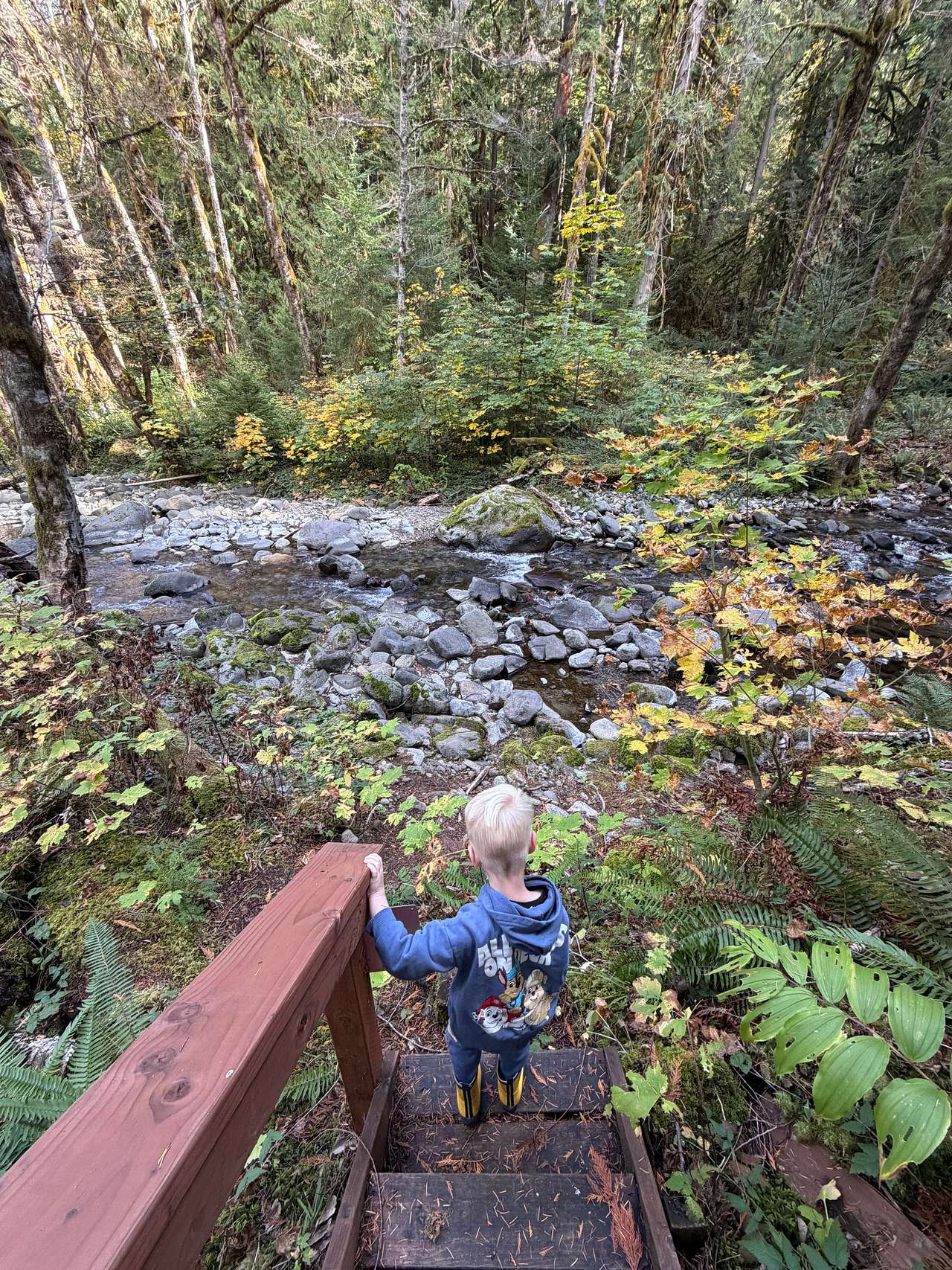 Coal Creek RV