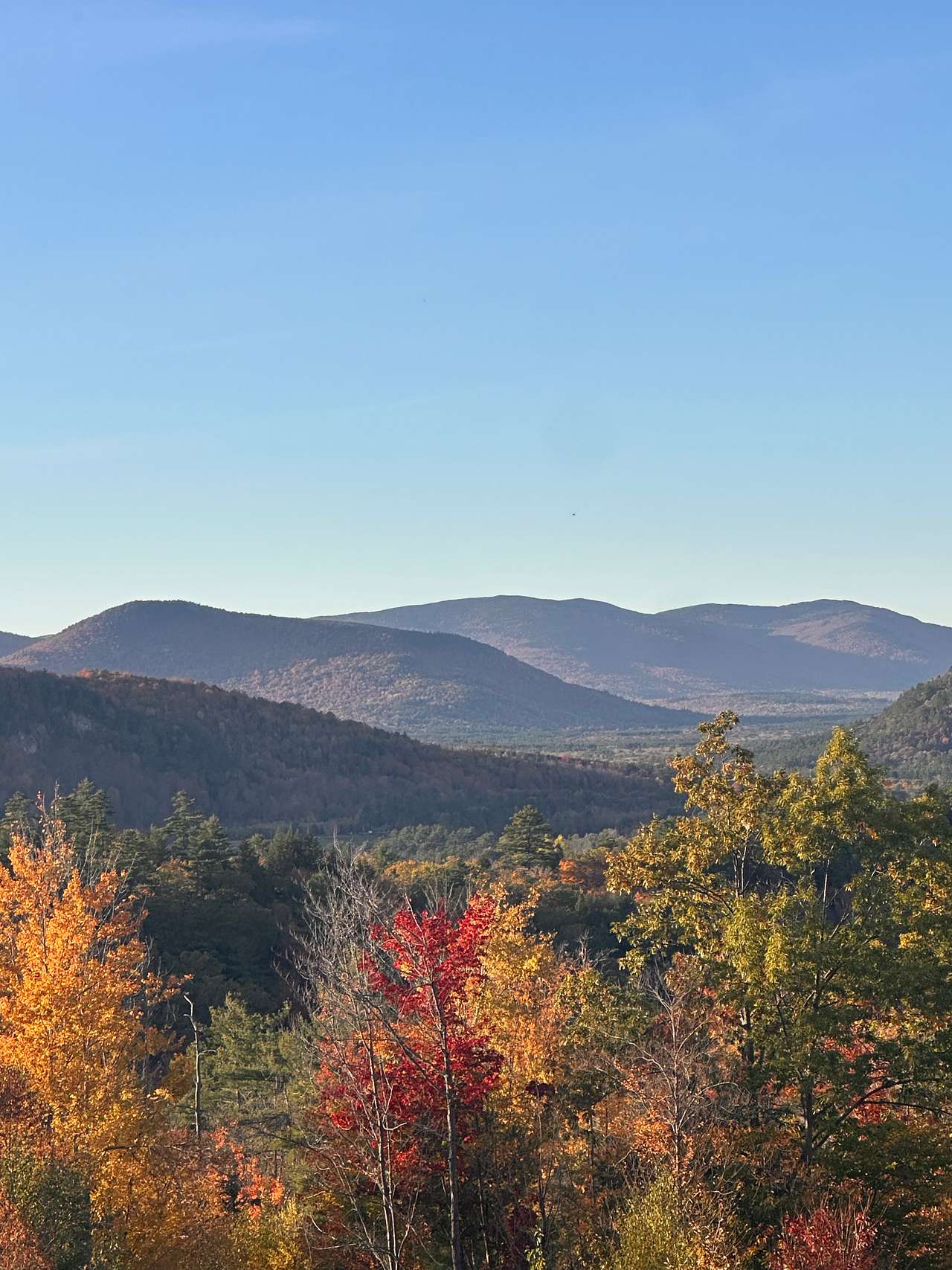 Bring Friends, Stay for the View!