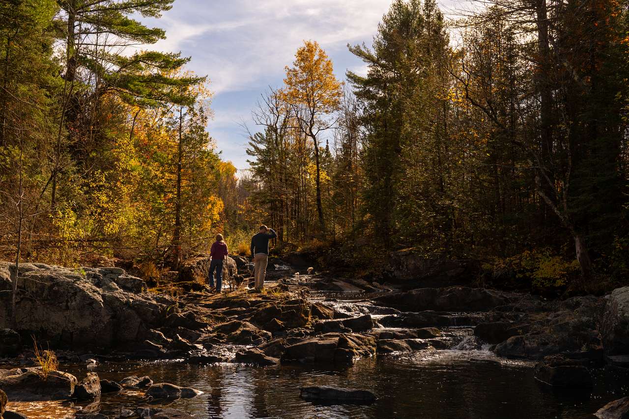 Exploring the Bad River. Dean has a great marked trail to follow through the wood so exploring was fun and easy!