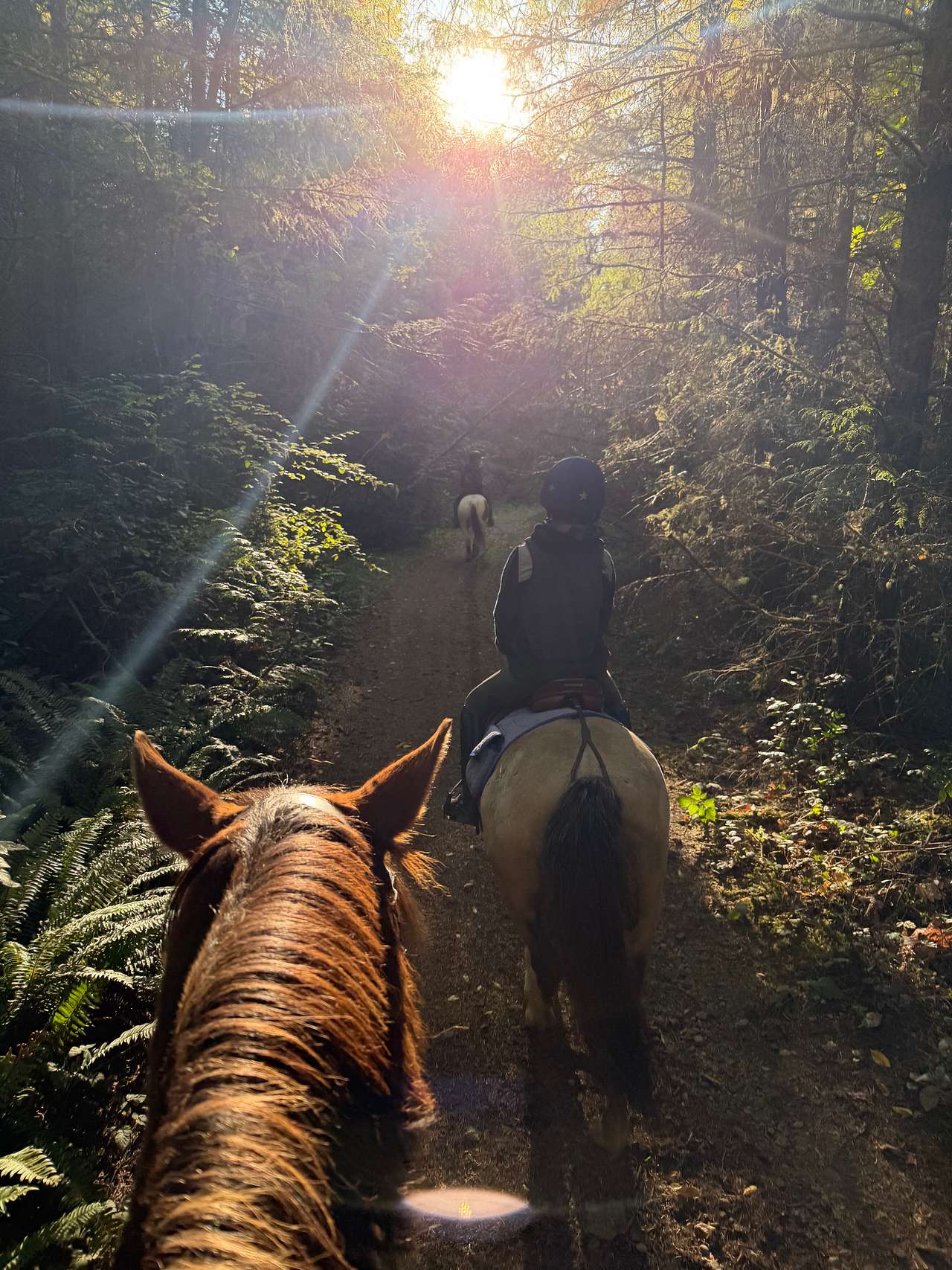 Sage Horse Camp.