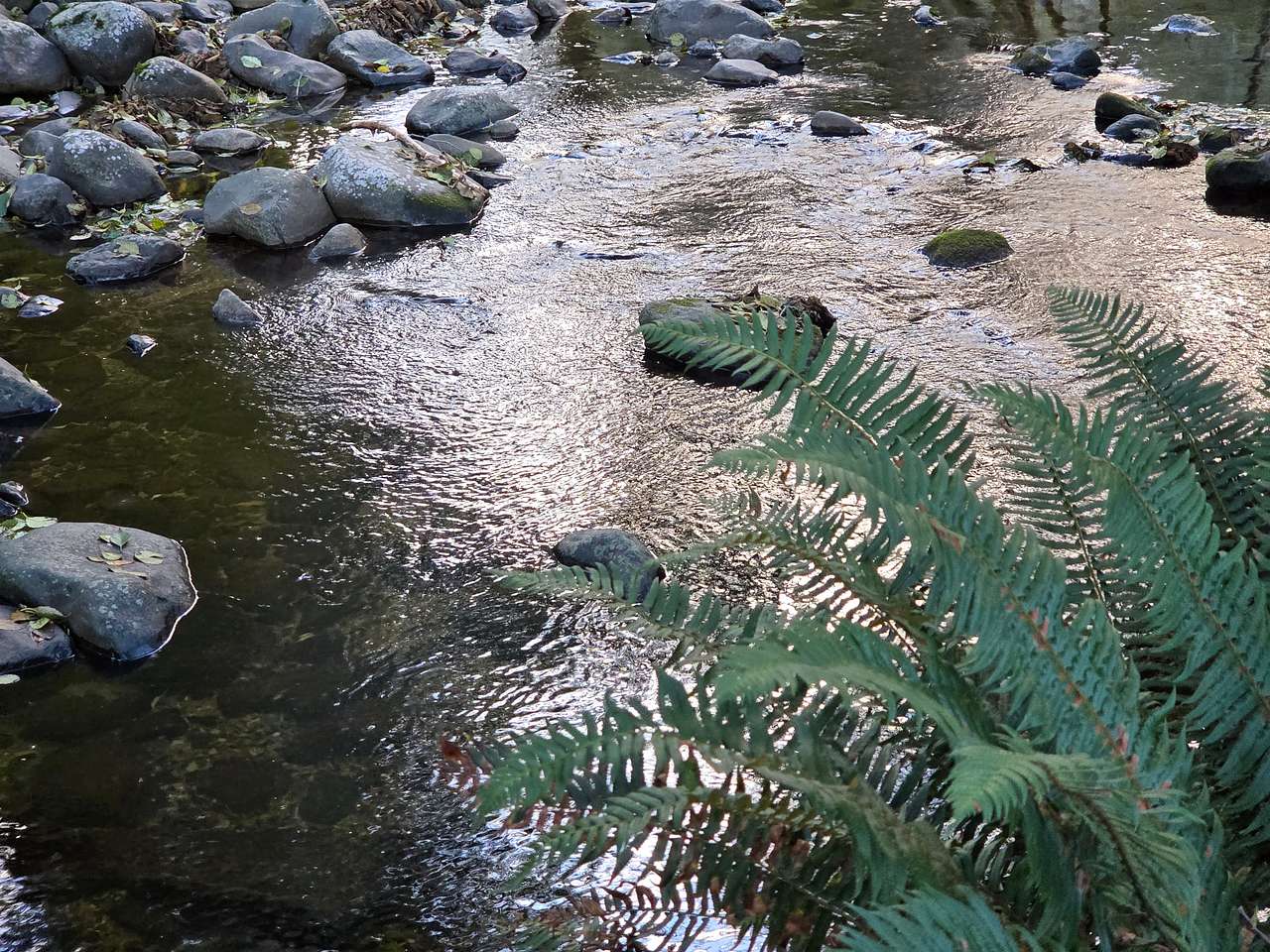 Powder Creek Campground
