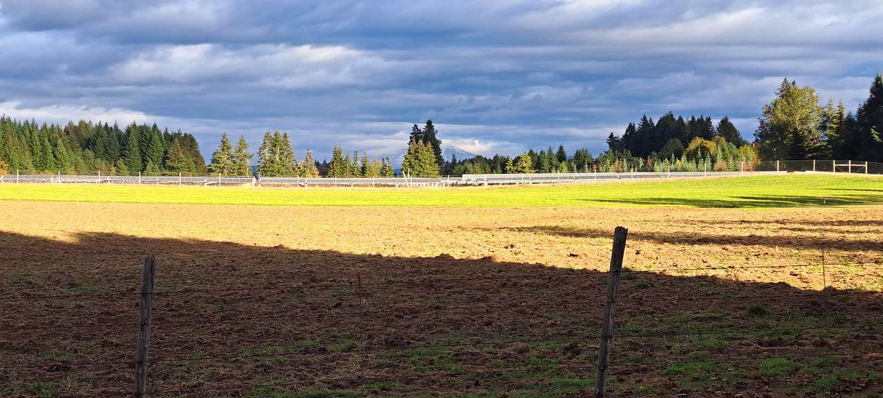 Down on the Farm