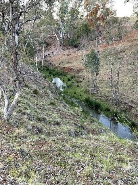 Gully bellow campsite.