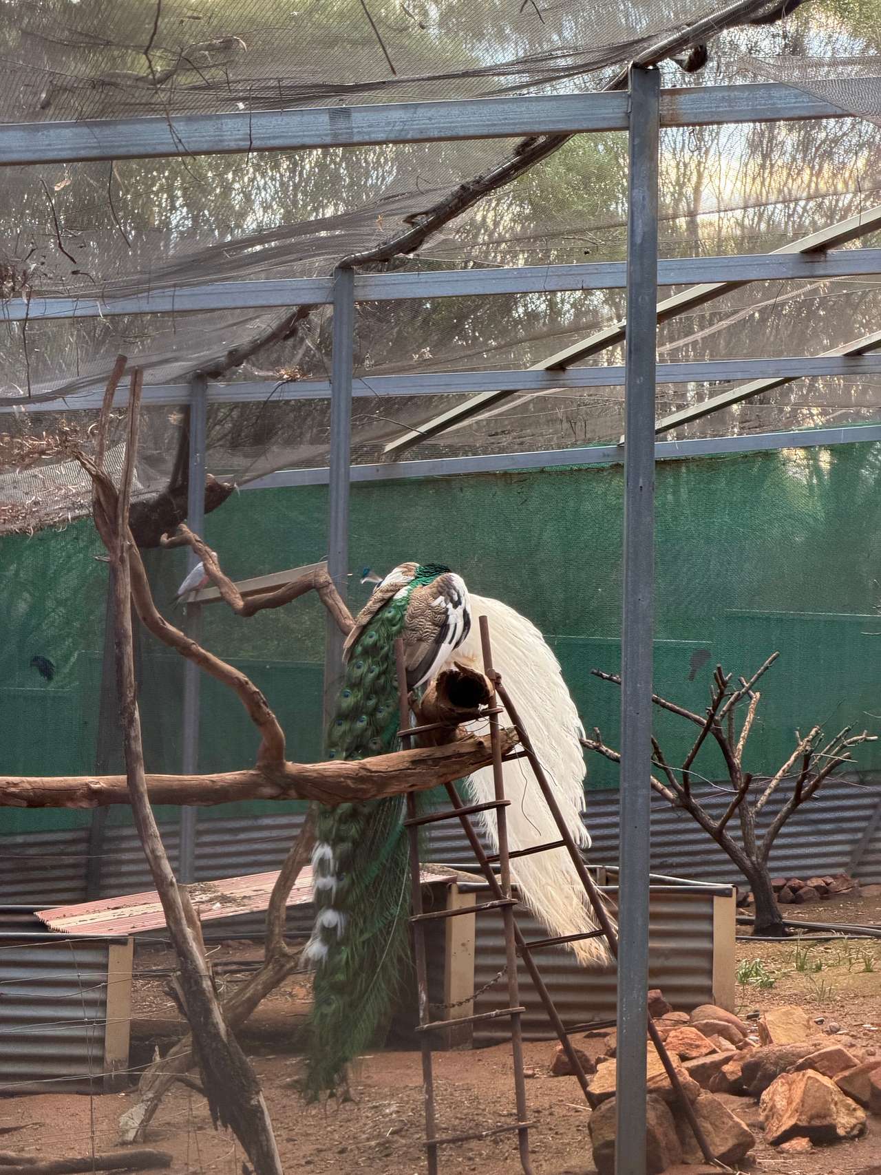 Sandalwood Downs  Farm Stay Toodyay