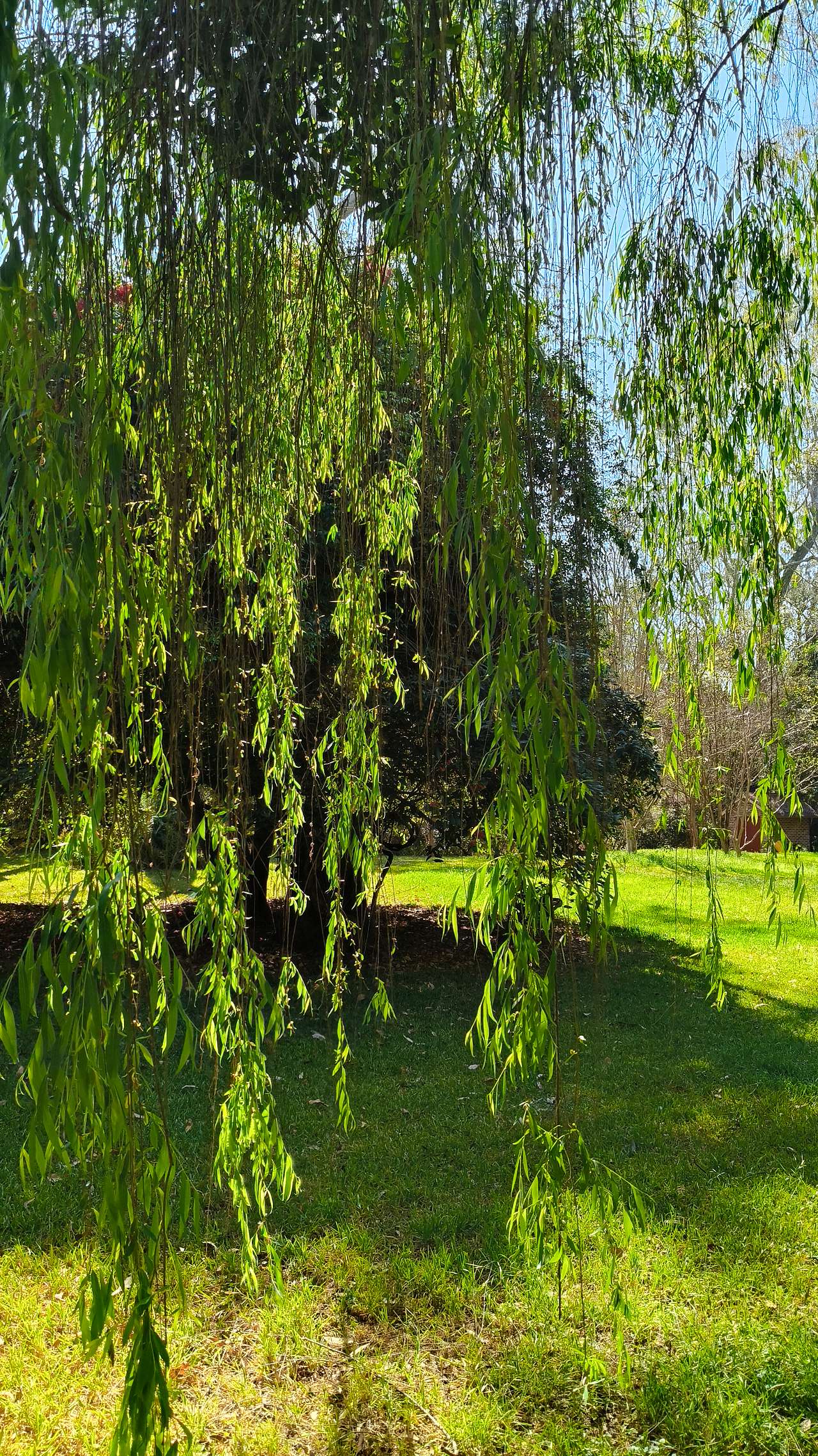 Split Yard Creek