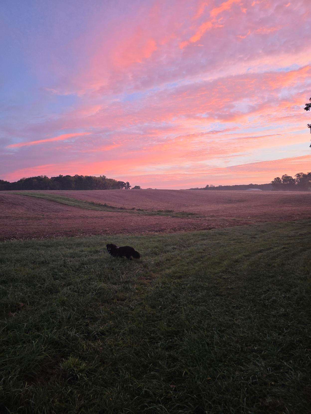 Peaceful and Beautiful