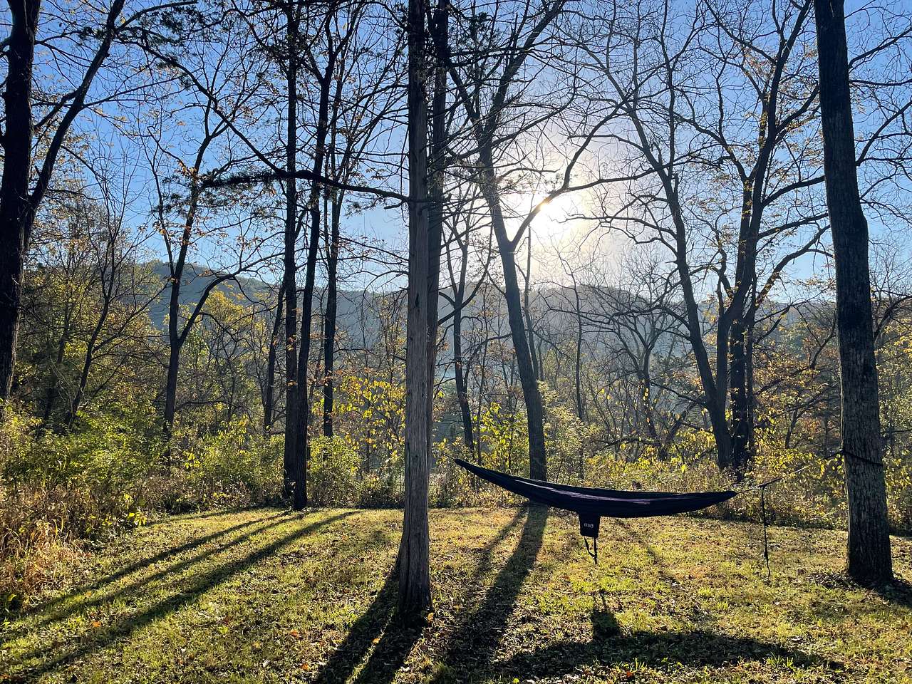 Shady Rest Acres