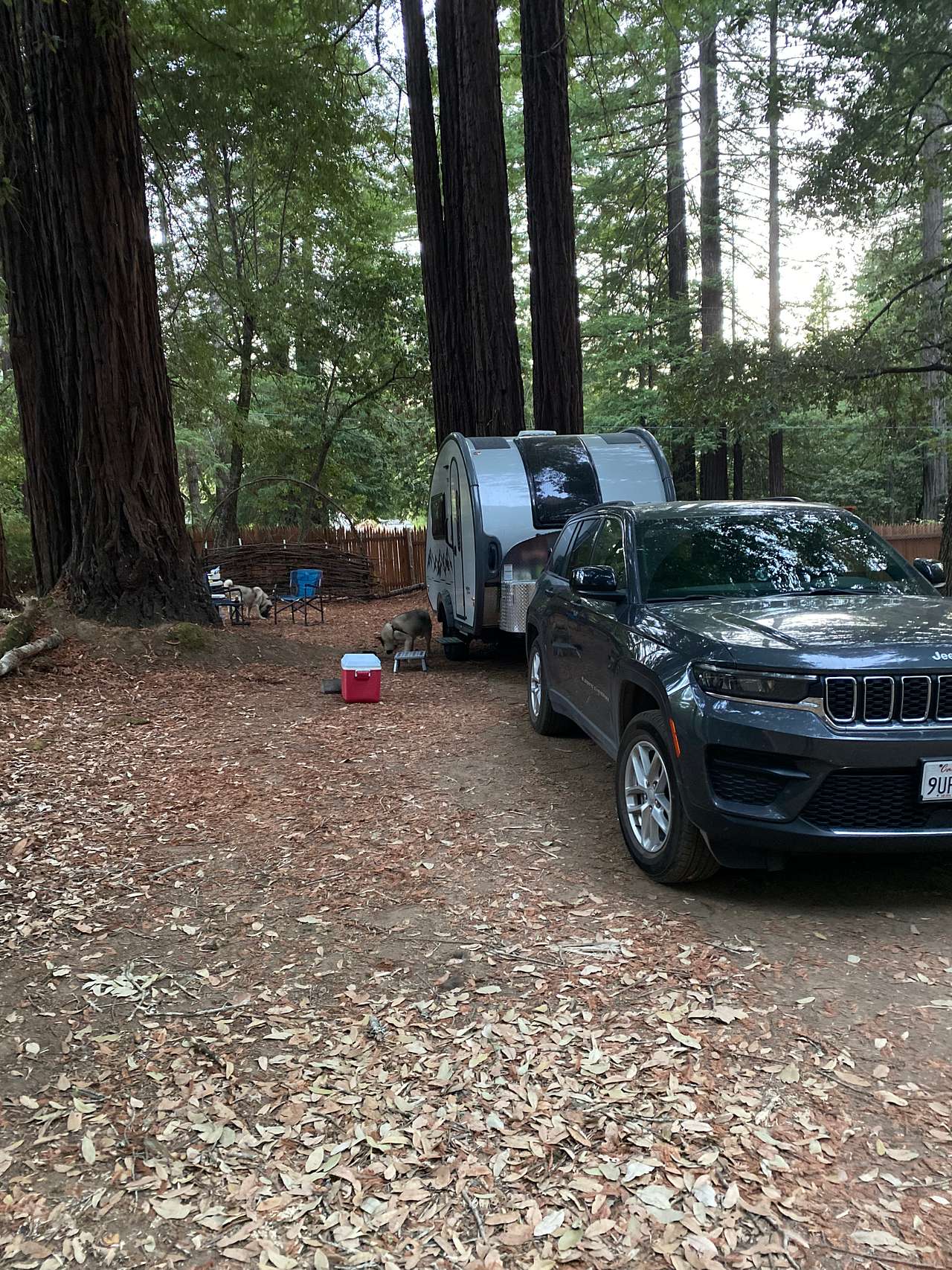 Camp Miranda