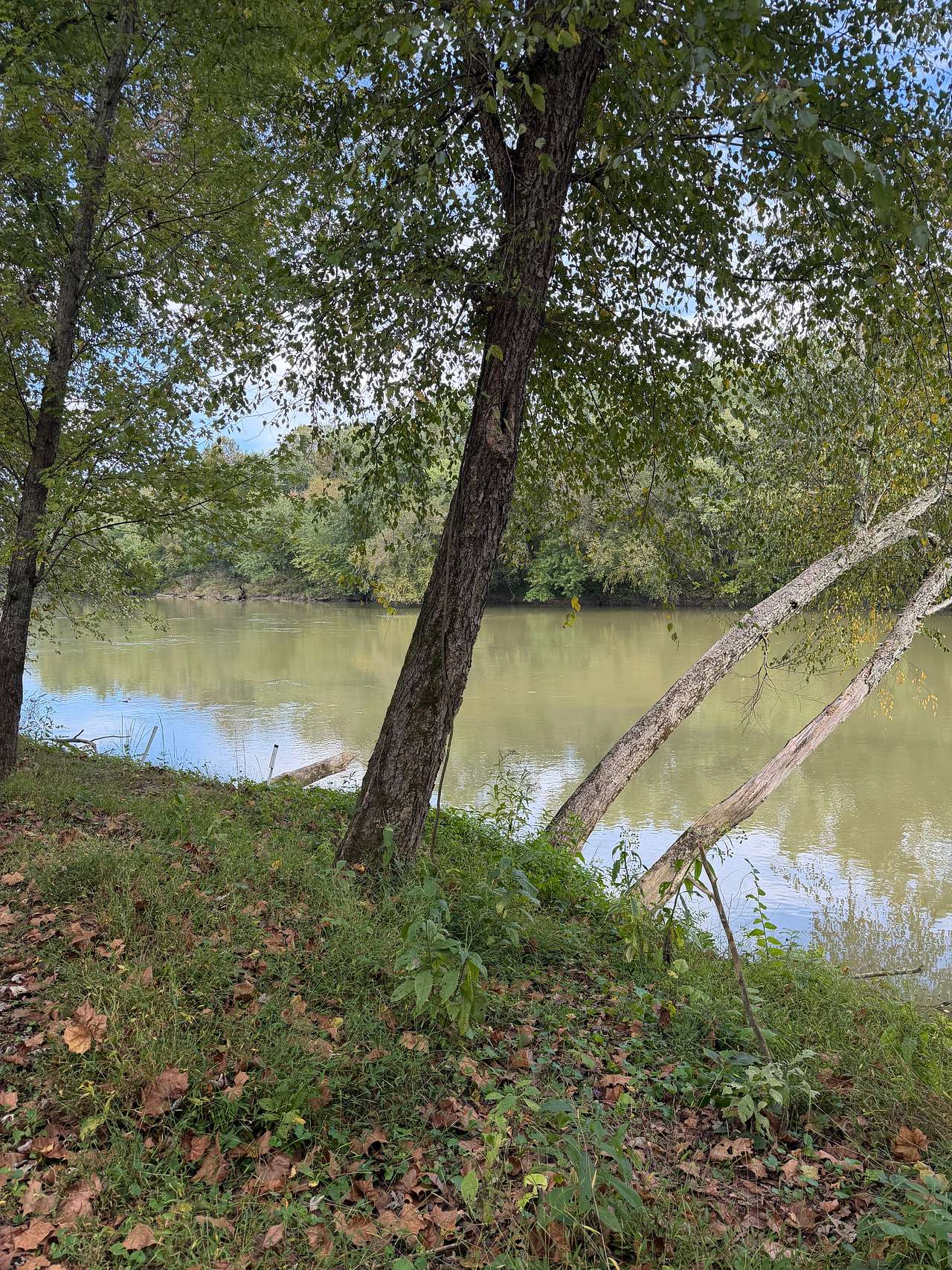 Patrick's Point River Camp