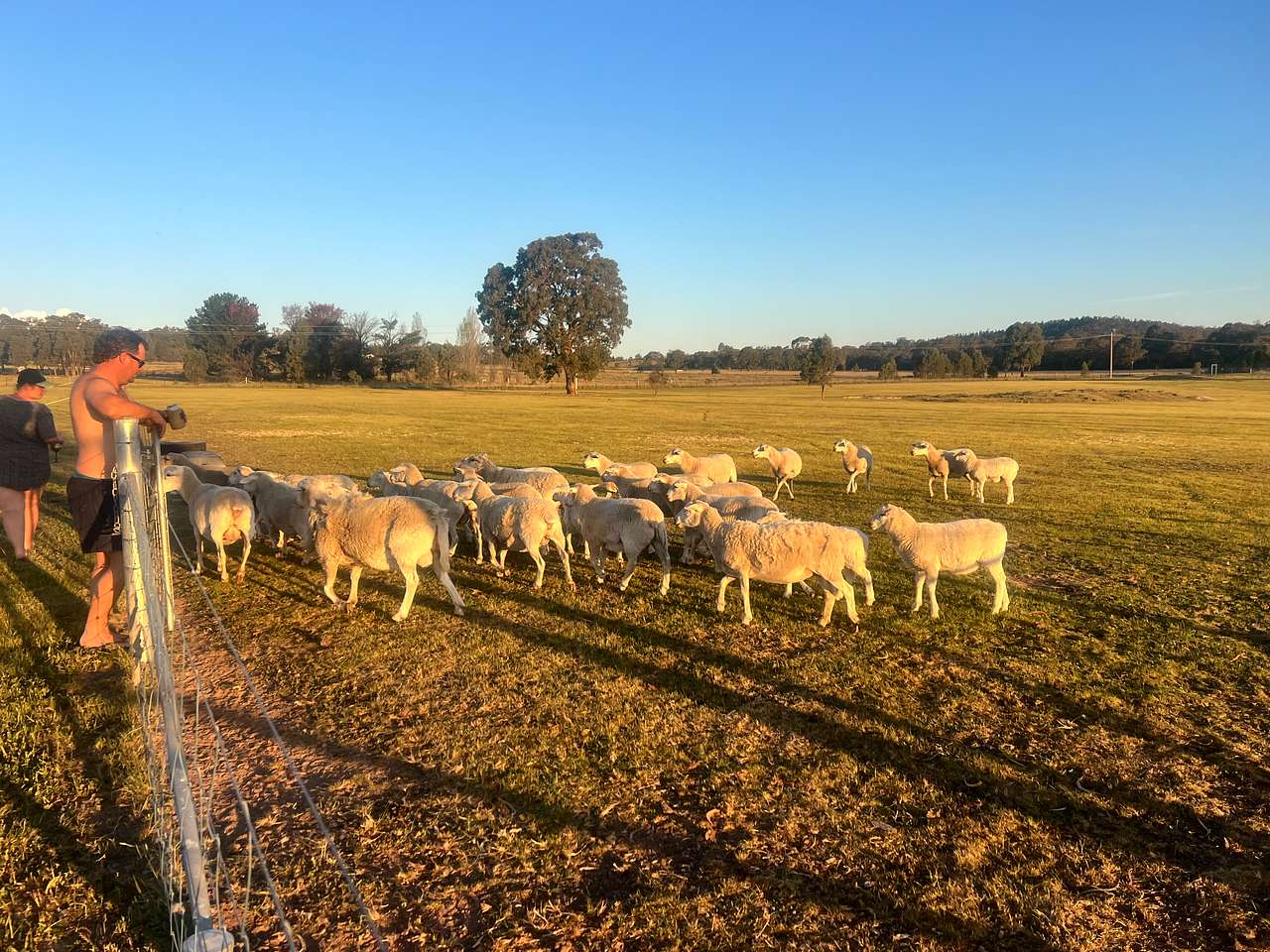 Ermington - Campground Farm Stay