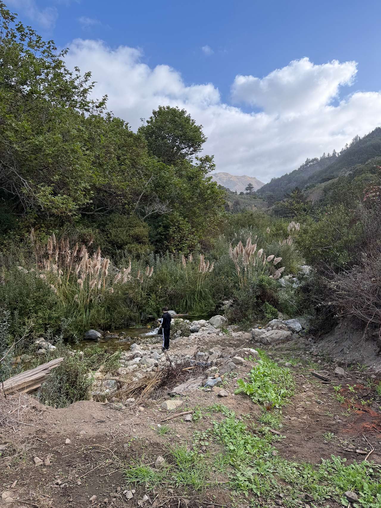 Camping by the crystal-clear creek, we were lulled to sleep every night by the soporific sounds of water.