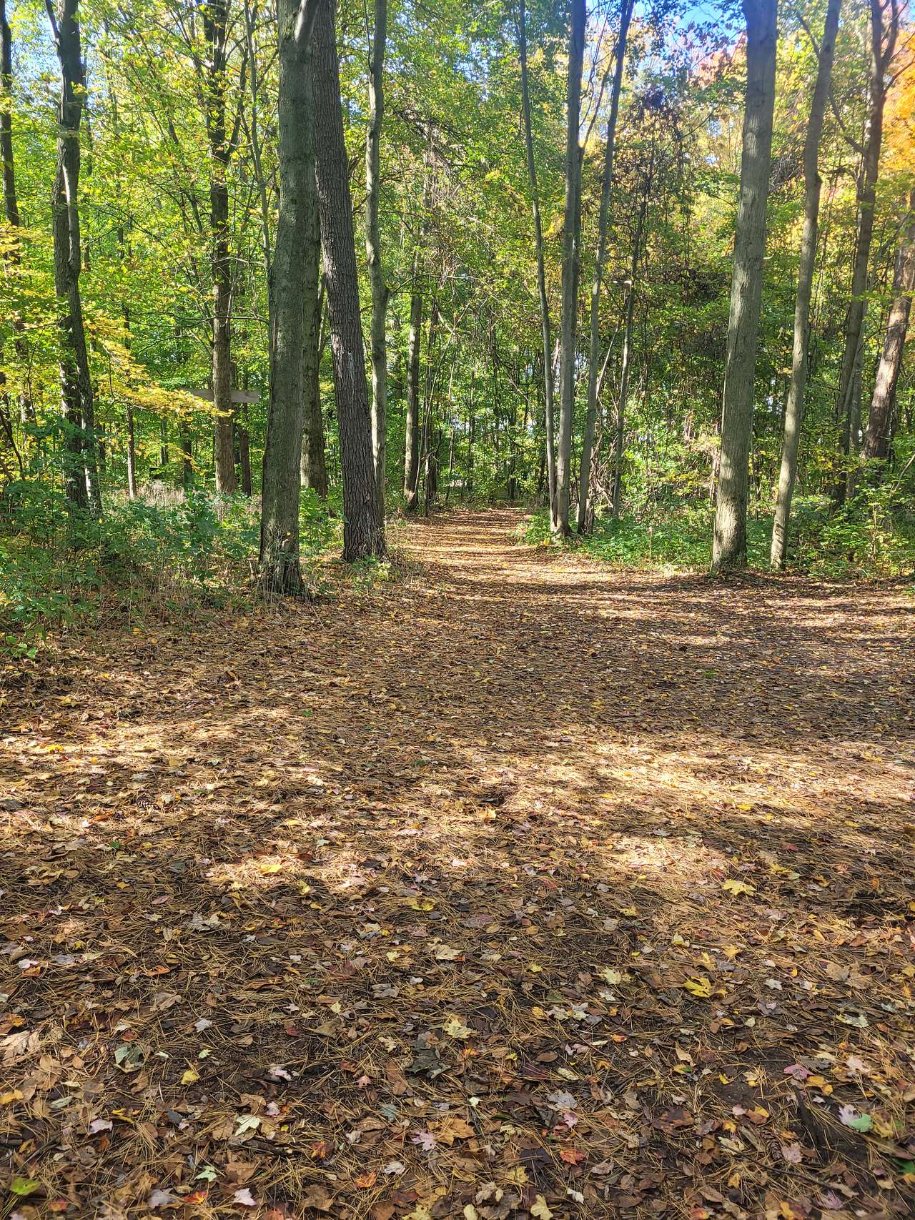 Houghton site