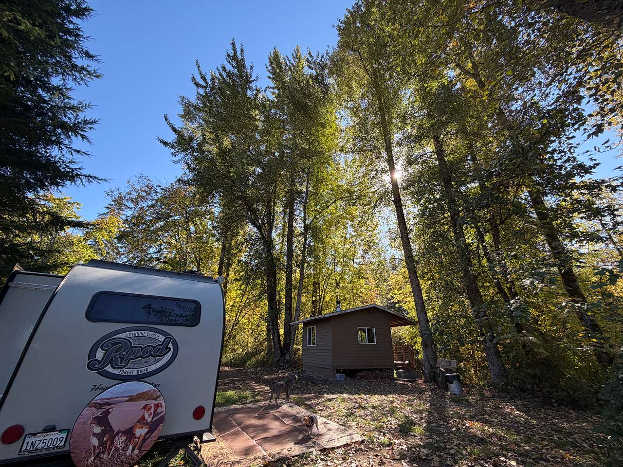 Santiam Serenity
