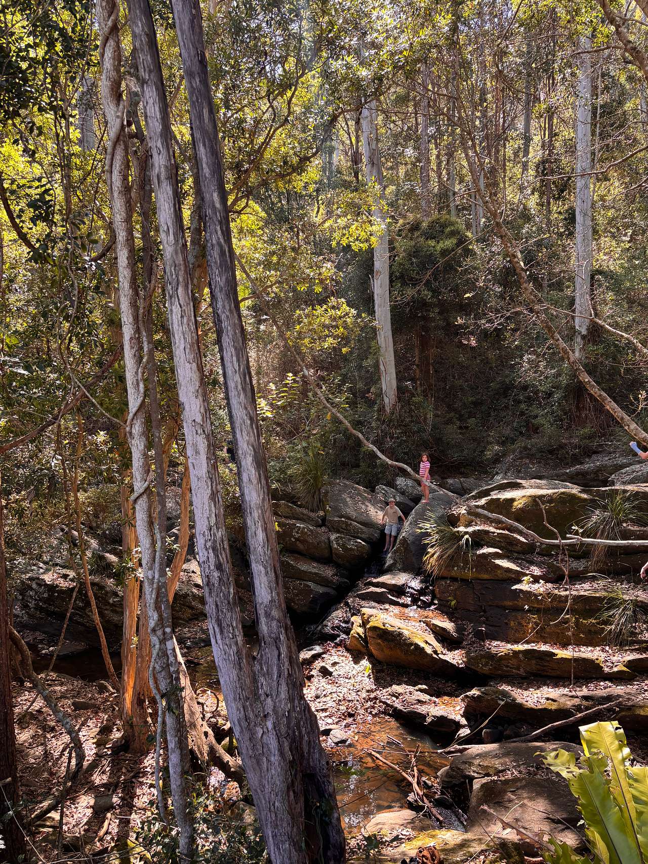 Coorie Vale