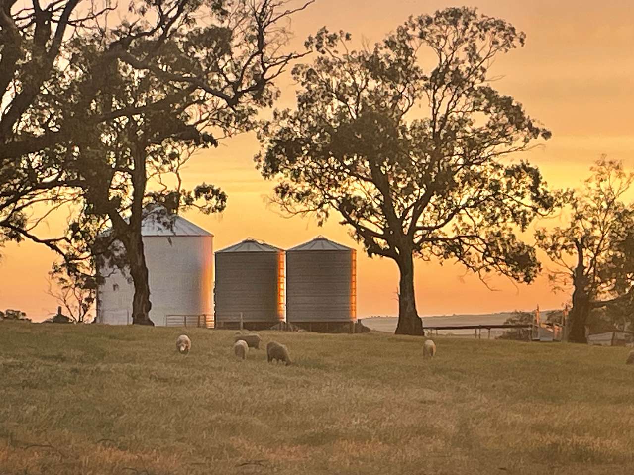 Edgehill Farm Stays Riverton