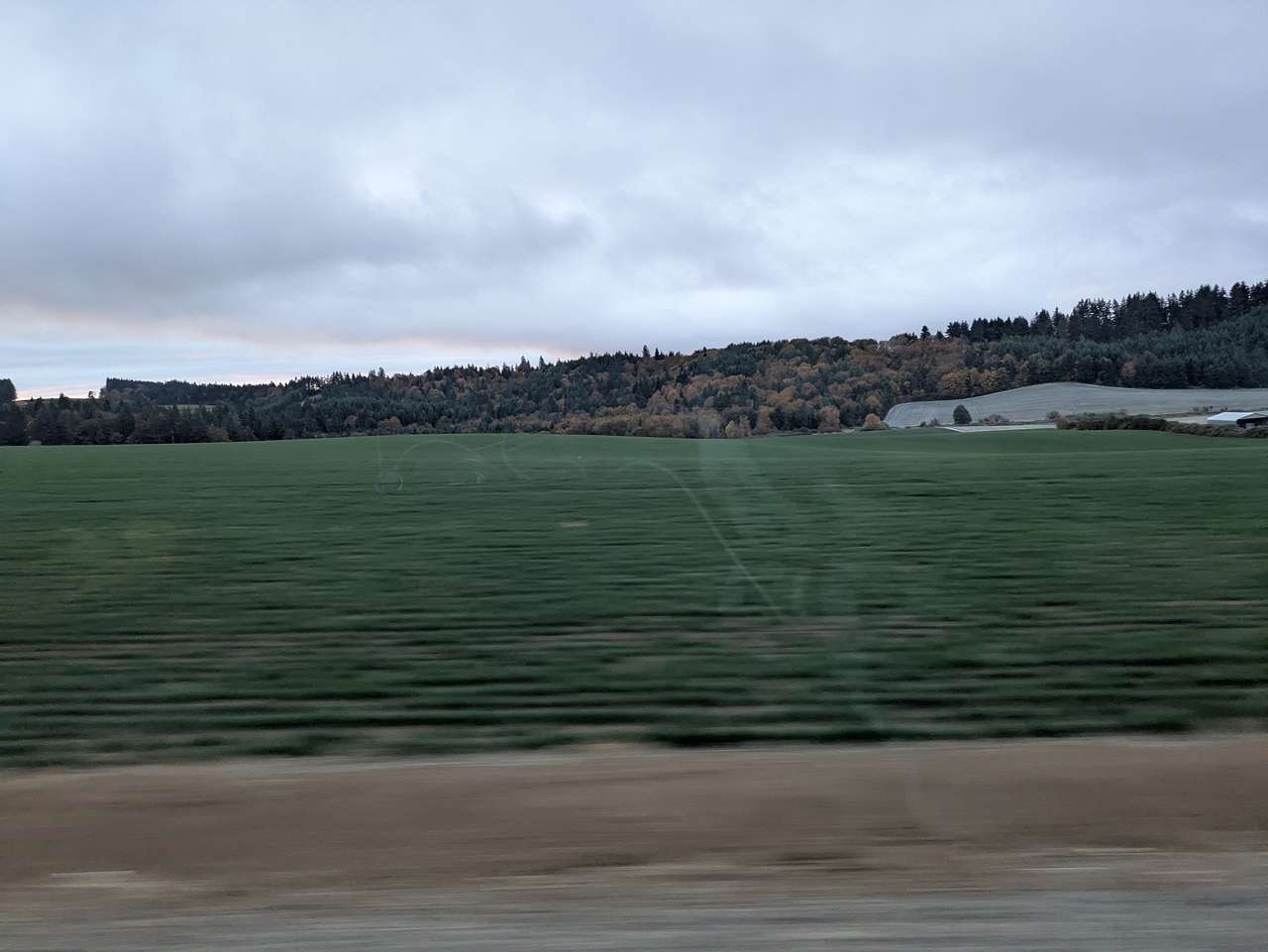 View from the site, early morning