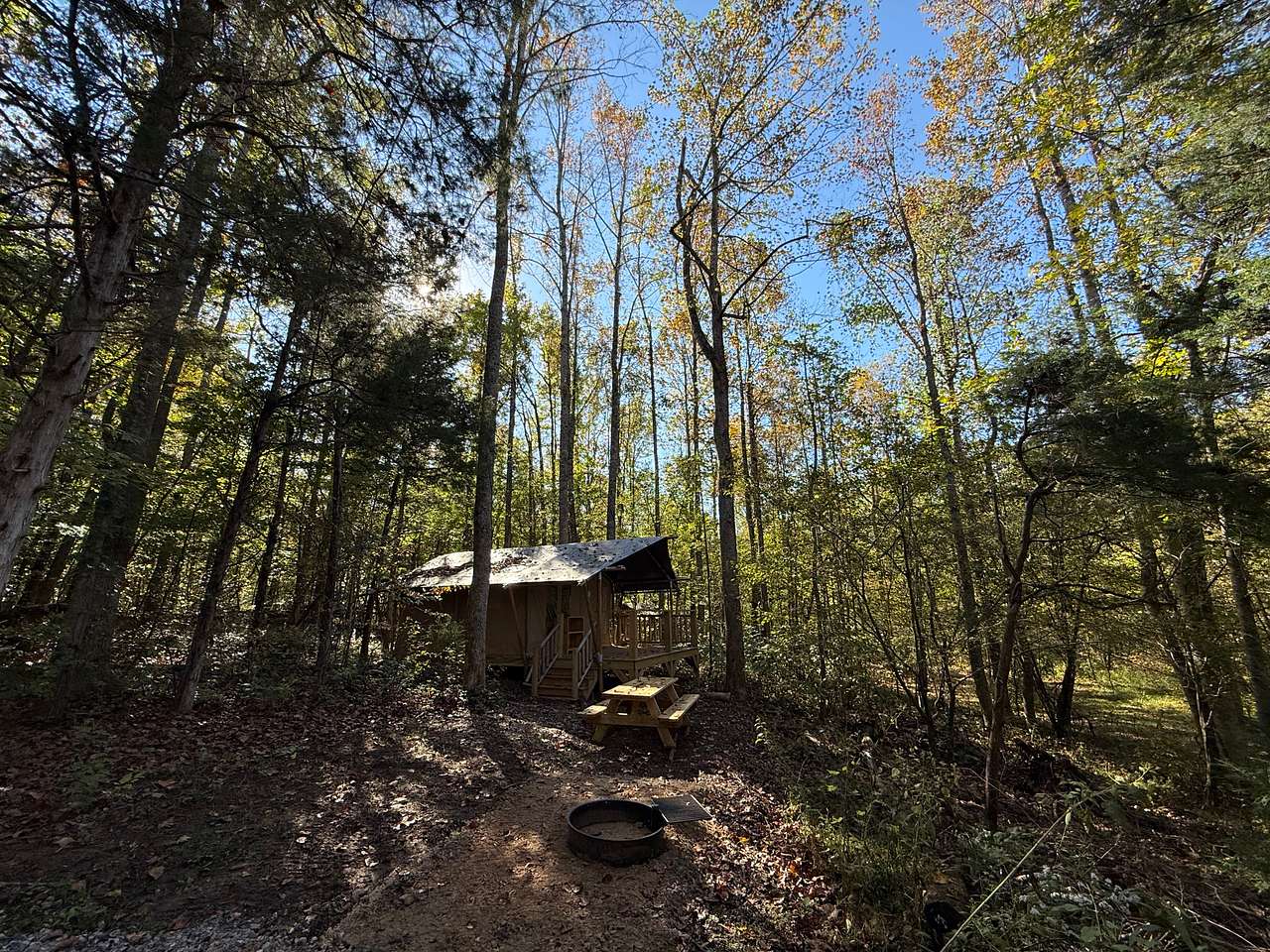 Picture of the site
