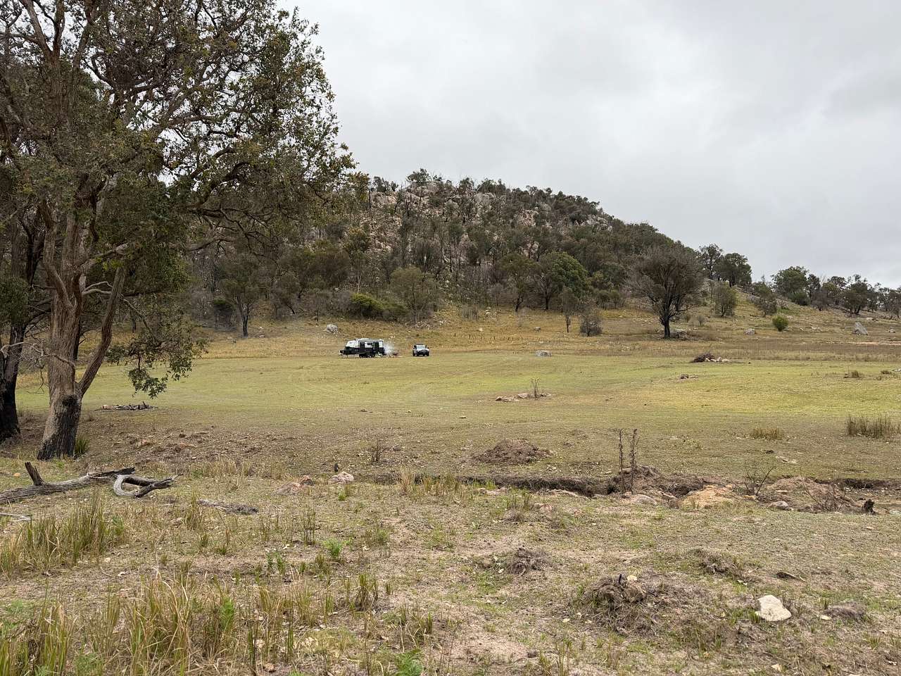 Bluff Paddock Campsite