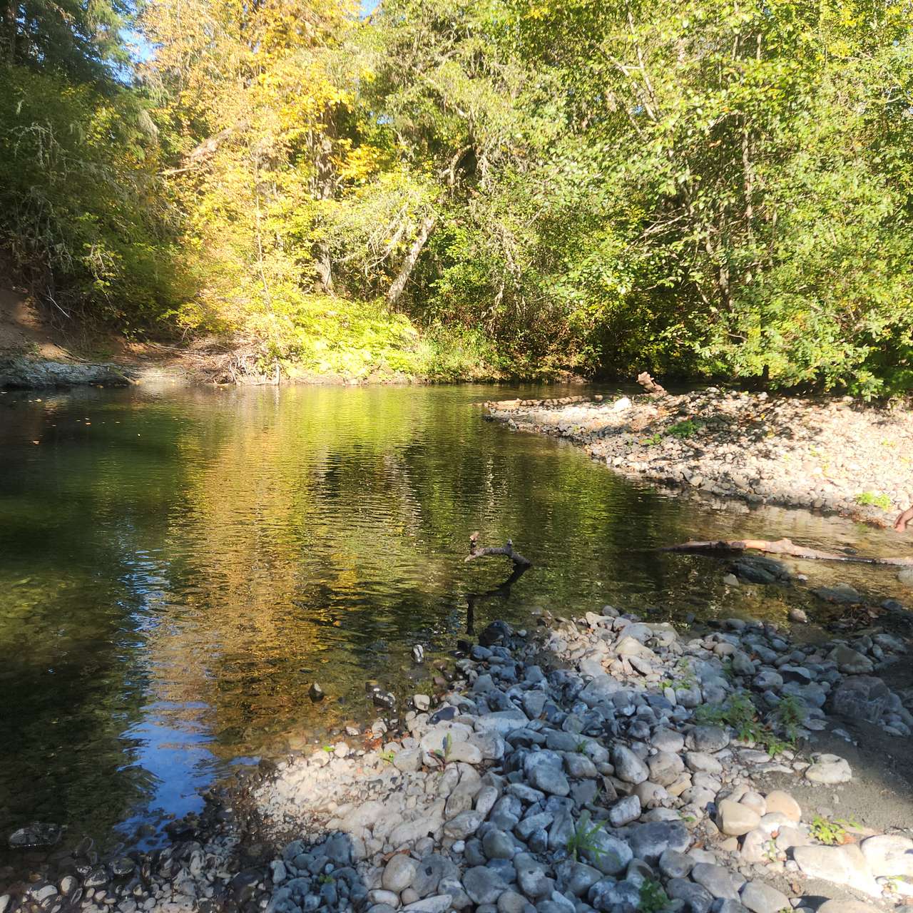 Paradise on Mill Creek