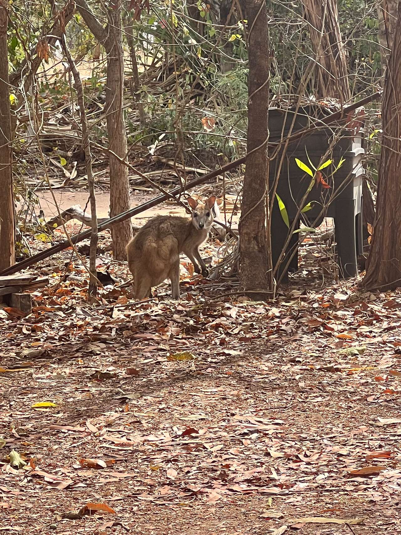 Gorge Creek Bushcamp