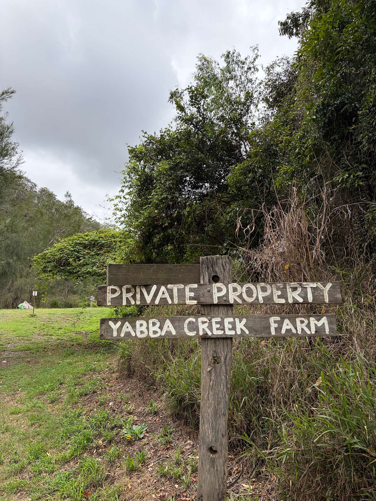 Yabba Creek Farm