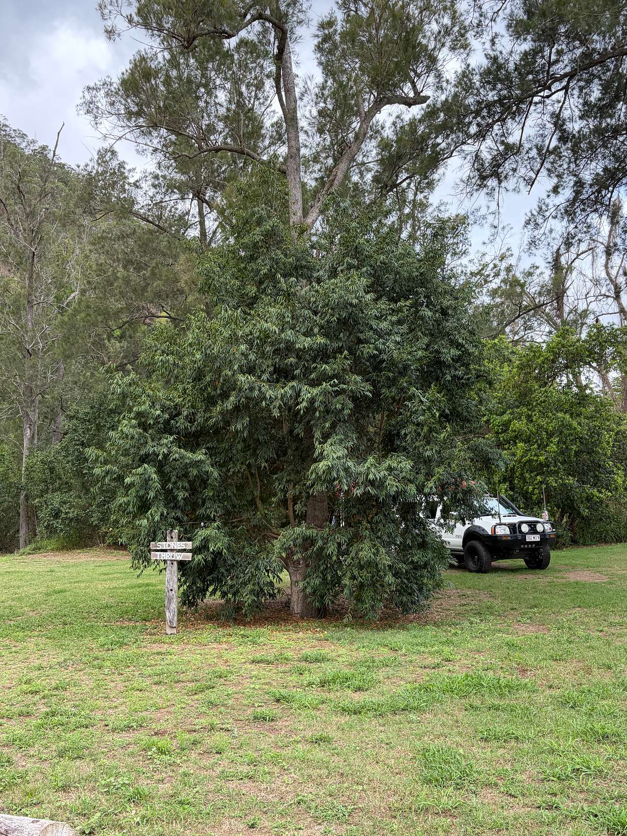Yabba Creek Farm