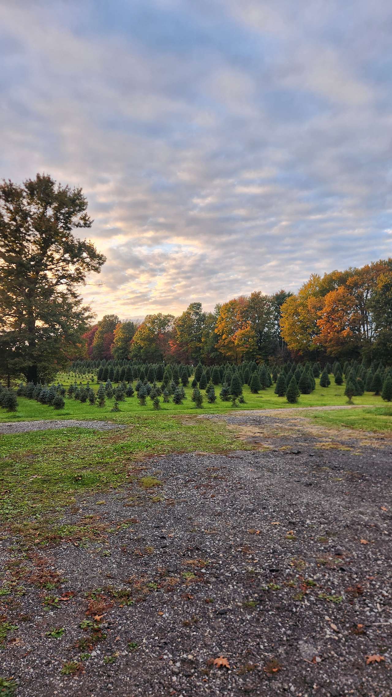 Camping at Heritage Farms