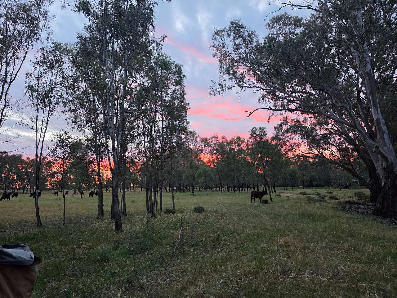 Billabong Flats Farm