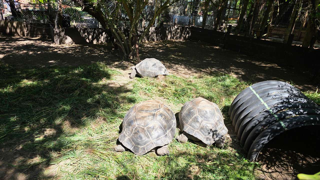 Green Wildlife Sanctuary San Benito