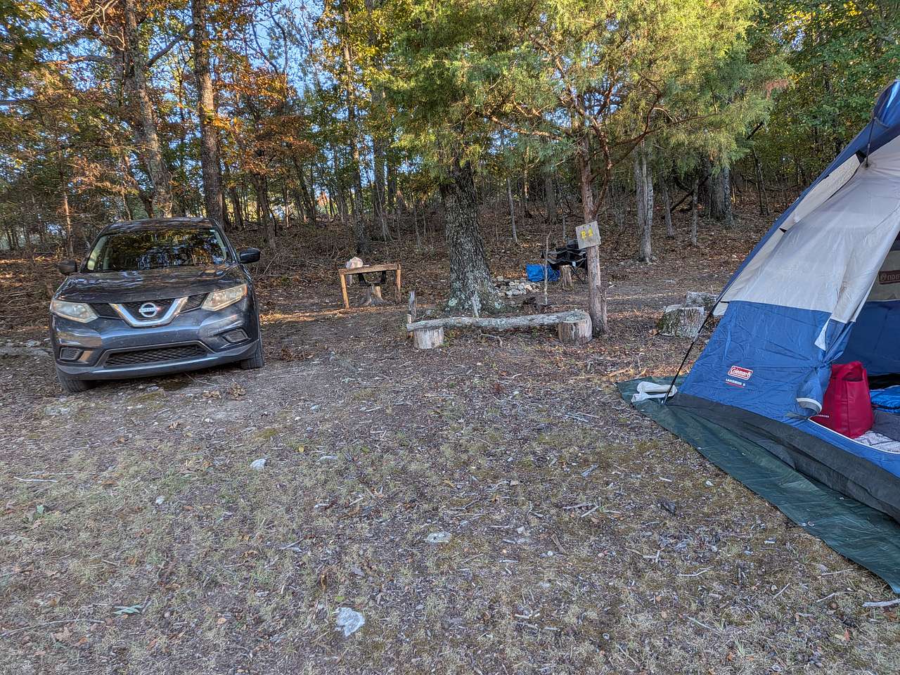 Picture of the site