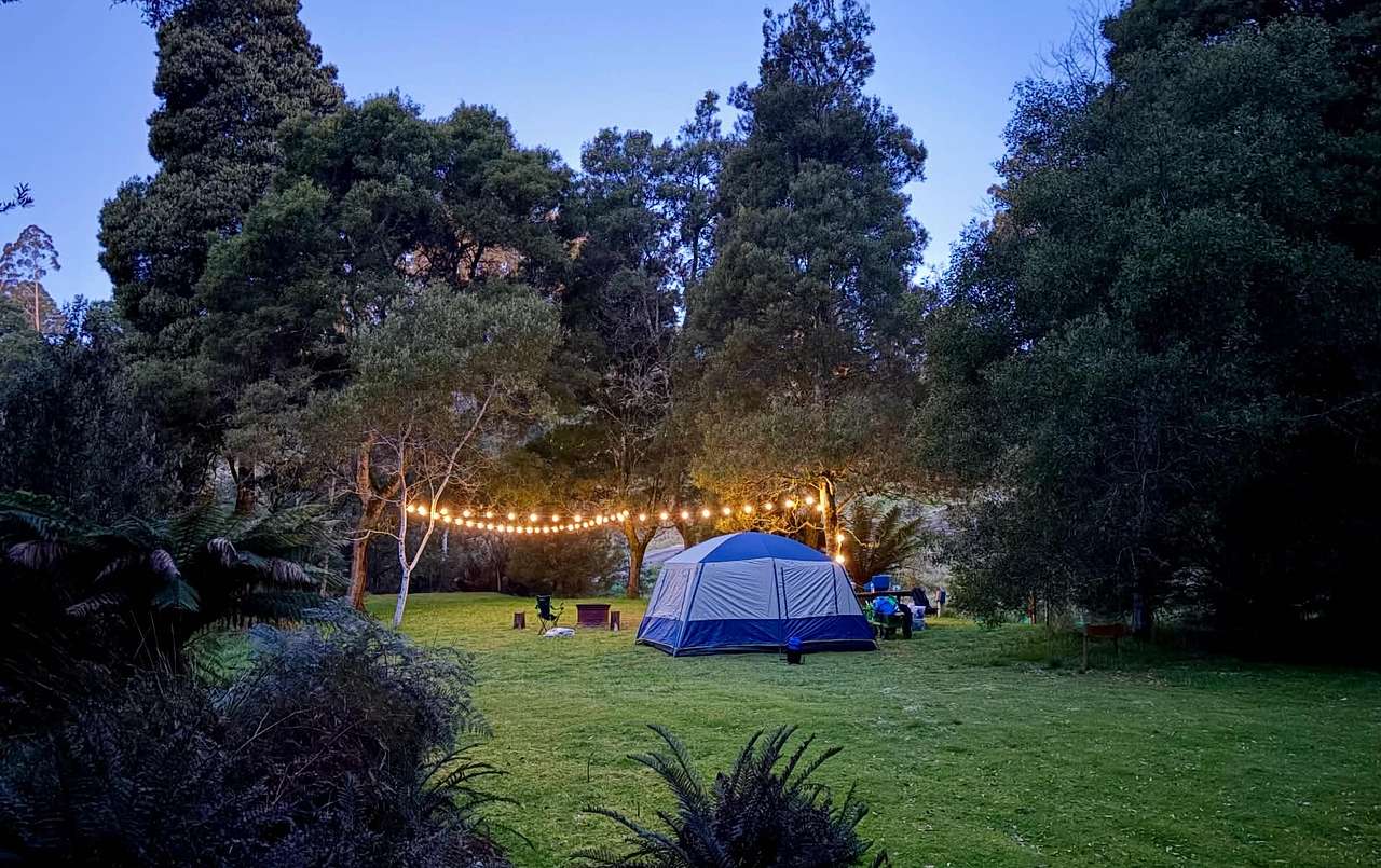 🐞🌿 Ladybug Camping 🌿🐞