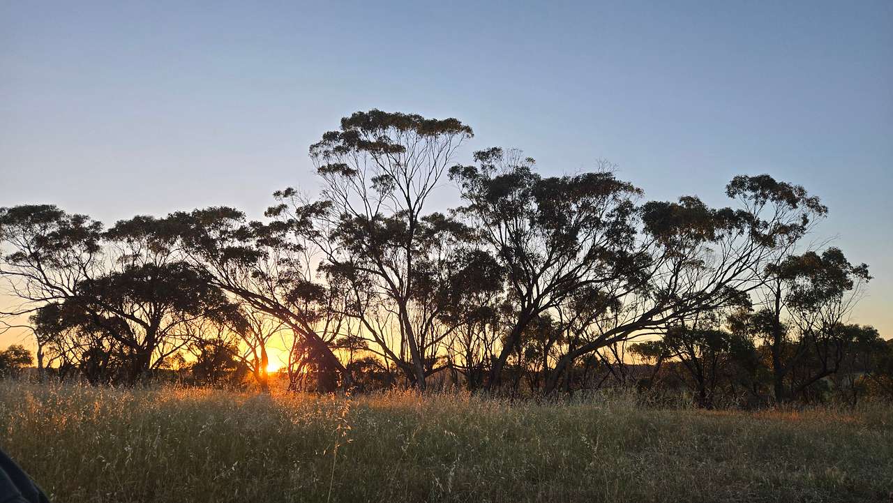 Sandalwood Downs  Farm Stay Toodyay