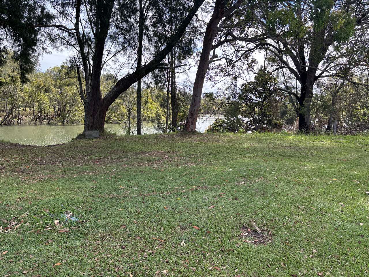 Our view at Creek site #6- Hamilton Hideaway, Harrington