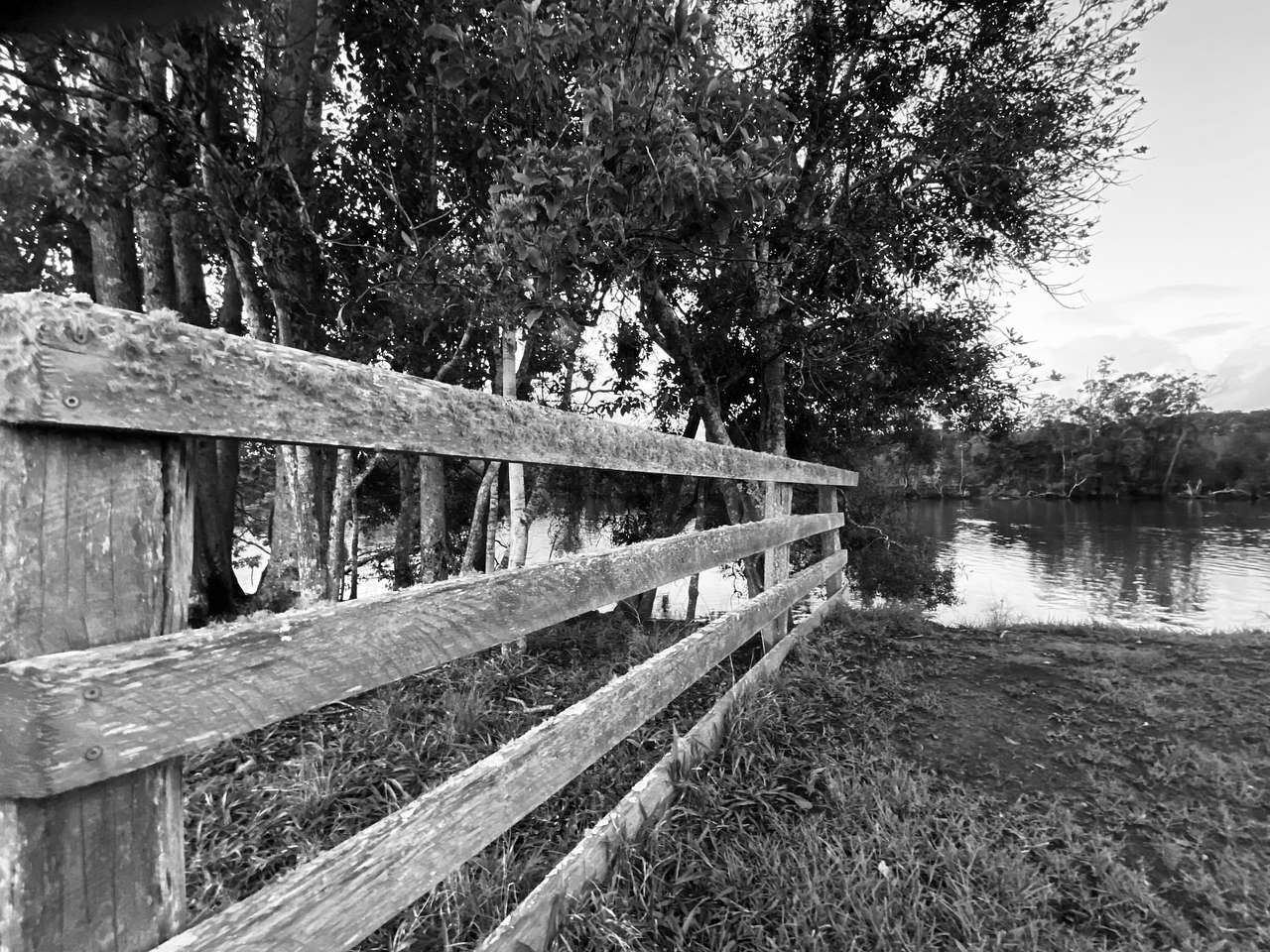 The Farm-Urunga riverfront camp 🏕️