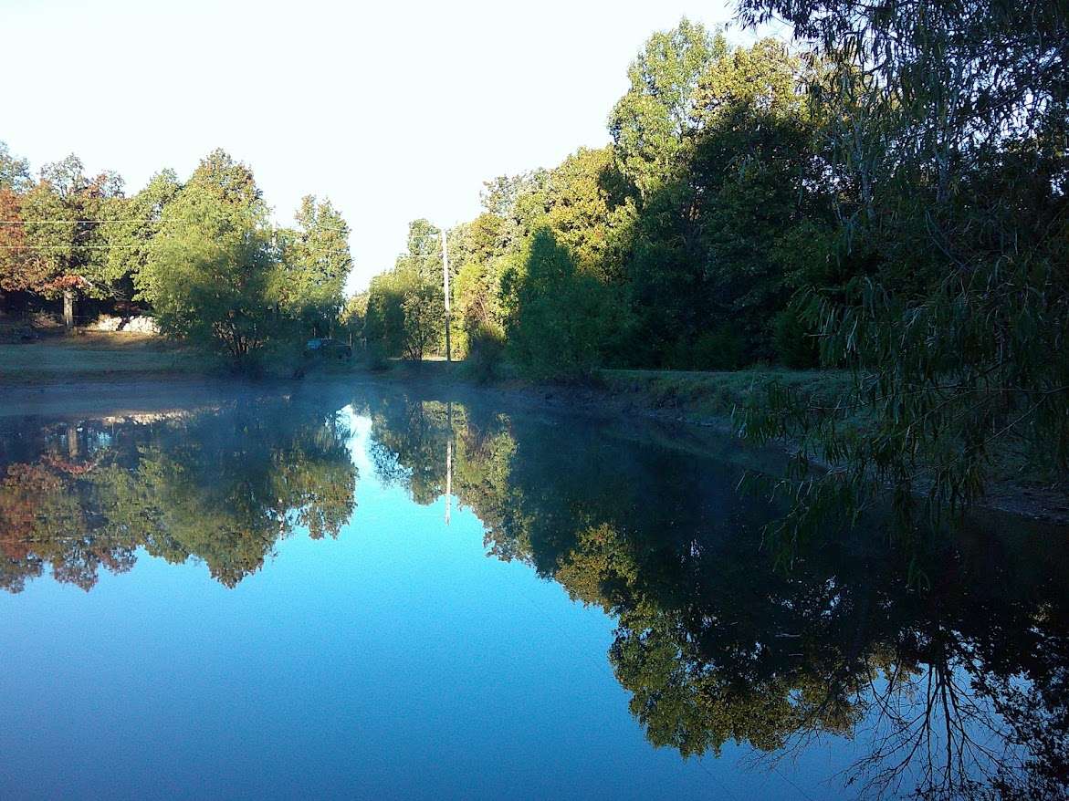 Wild Blue Acres