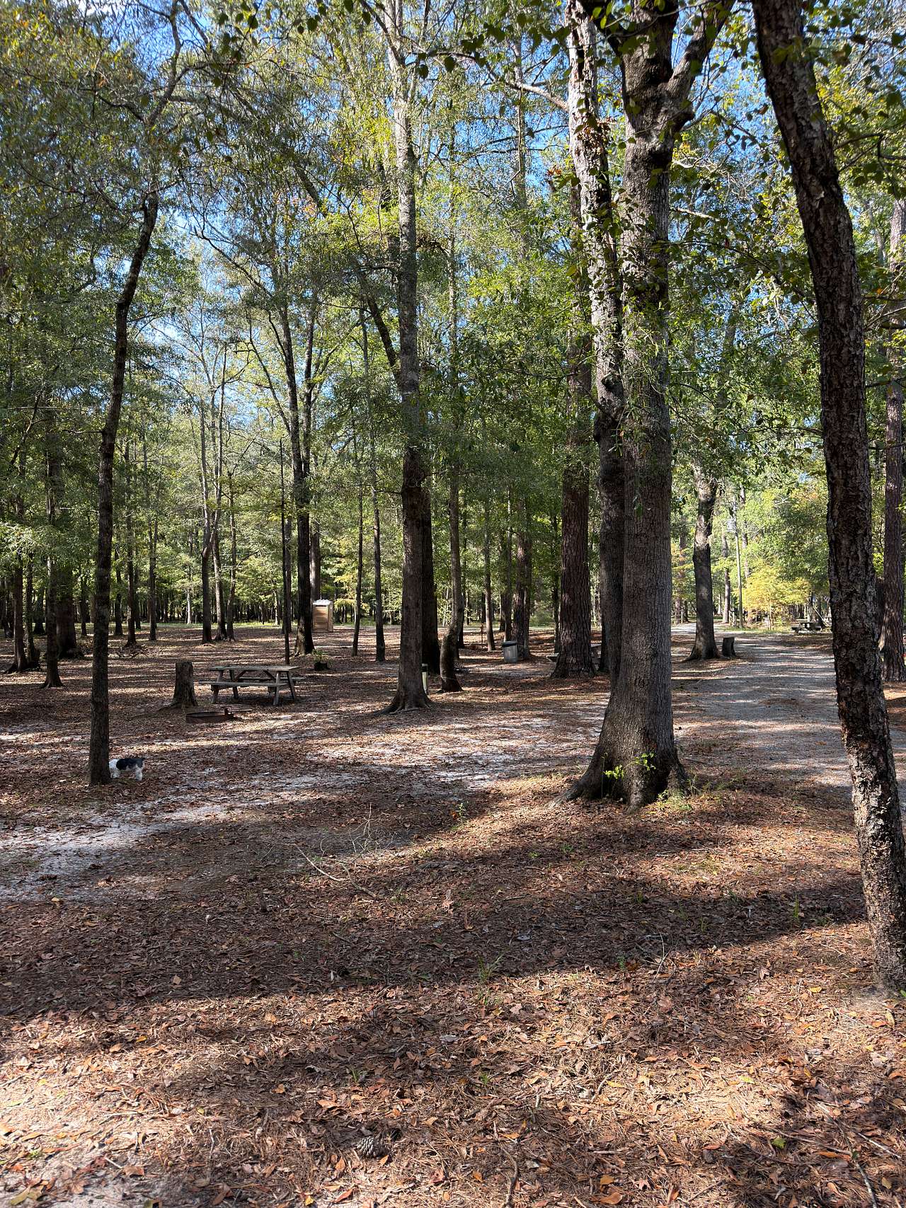Black River Camping Ventures