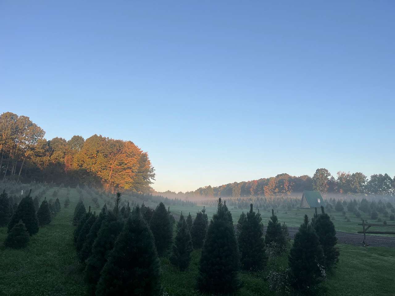 Camping at Heritage Farms