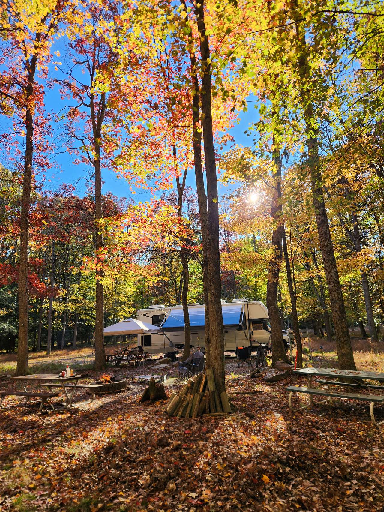Clear Creek Cook Forest Campsite