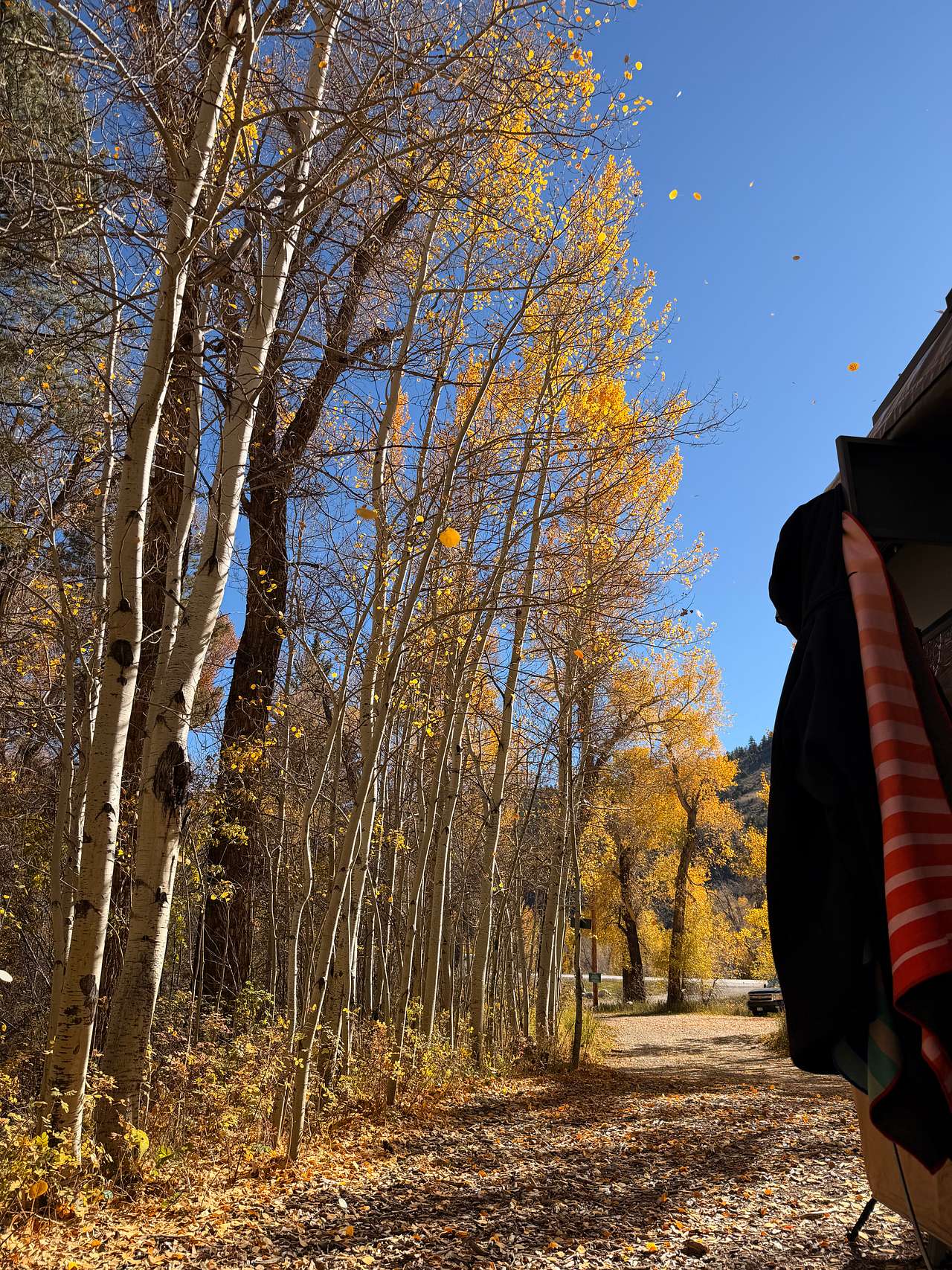 Creekside Chalets