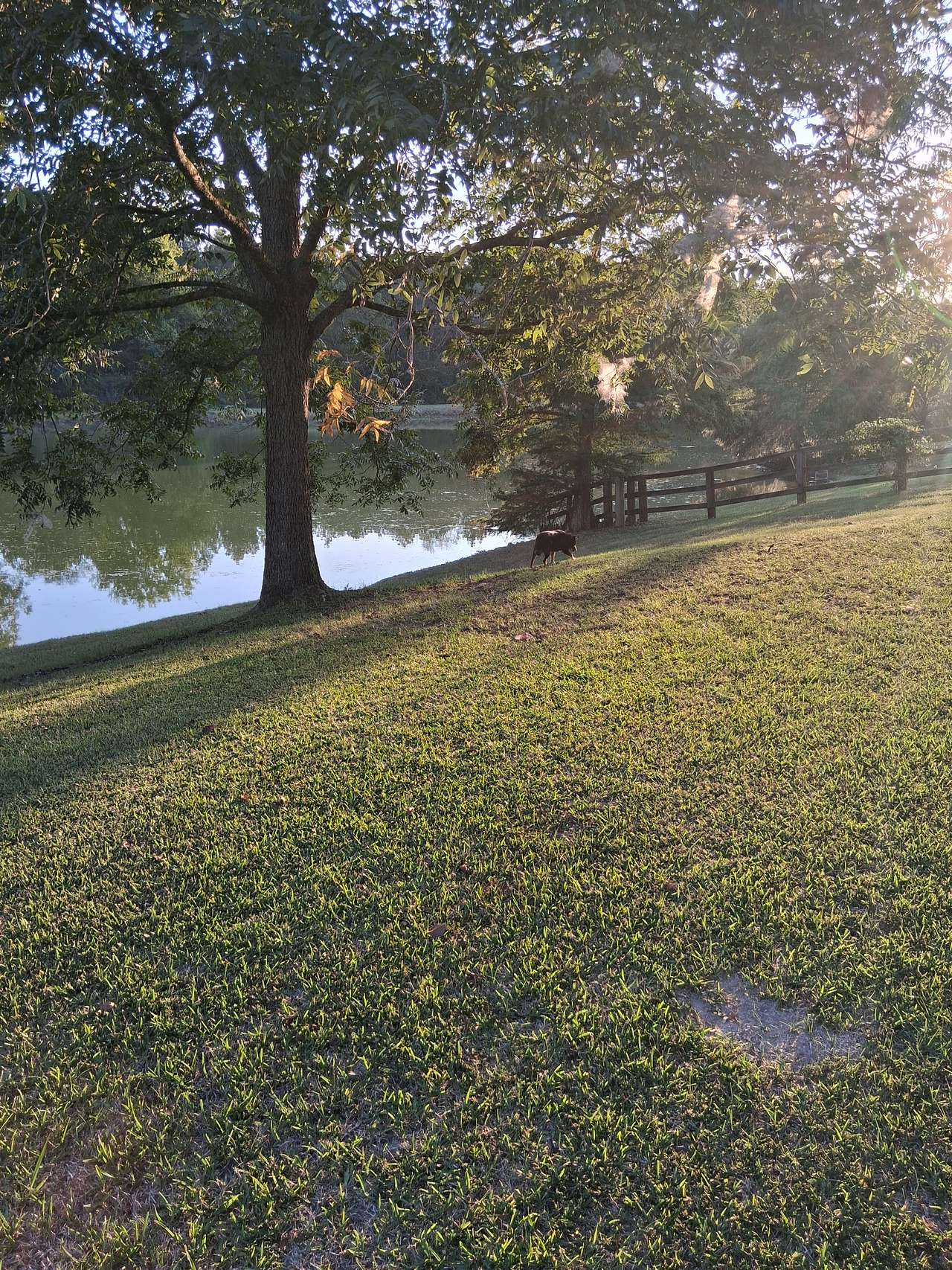 Rock Hill Campsite